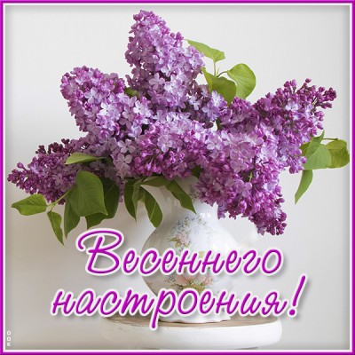 Картинка картинка весеннего настроения