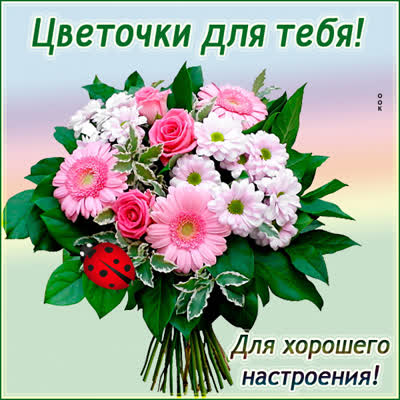 Picture картинка вместо тысячи слов с цветами