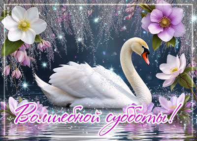 Postcard картинка волшебной субботы