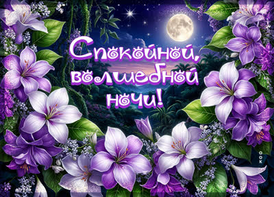 Picture картинка волшебной тебе ночи, сладких снов