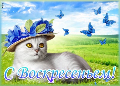 Картинка картинка воскресенье - день прекрасный