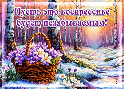 Picture картинка воскресенье, пусть день будет незабываемым!