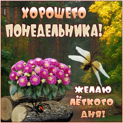 Picture картинка вот и понедельник