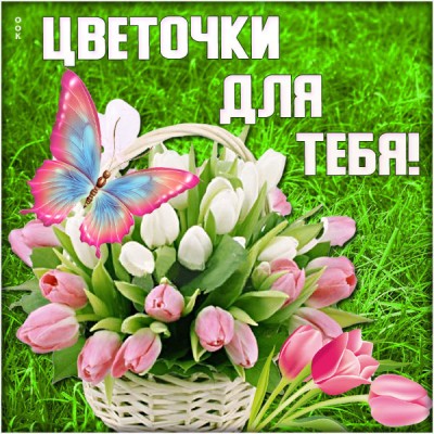 Картинка картинка все цветы для тебя