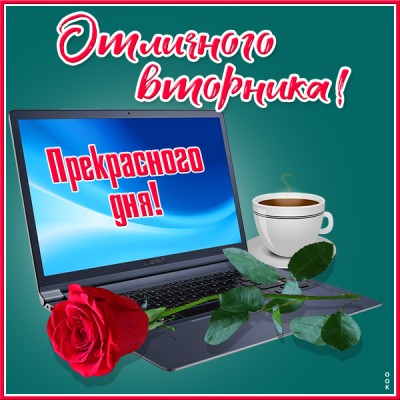 Картинка картинка вторник с розой