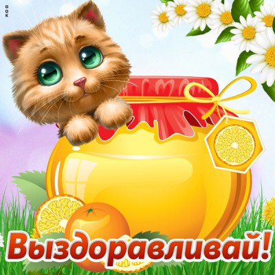 Открытка картинка выздоравливай уже быстрей