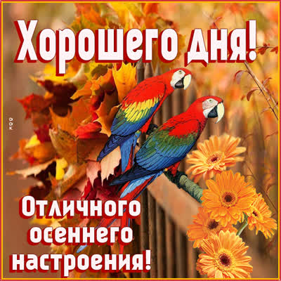 Picture картинка хорошего дня и чудесного настроения