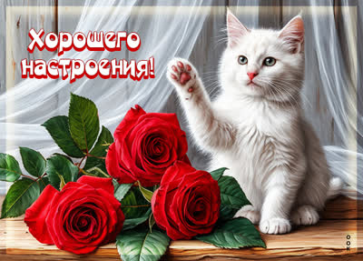 Picture картинка хорошего настроения вам