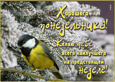 Postcard картинка хорошего понедельника