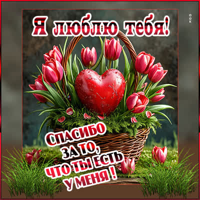 Postcard картинка я тебя люблю, ты наполняешь мой мир светом