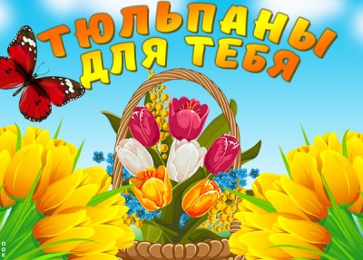 Открытка картинка яркие тюльпаны
