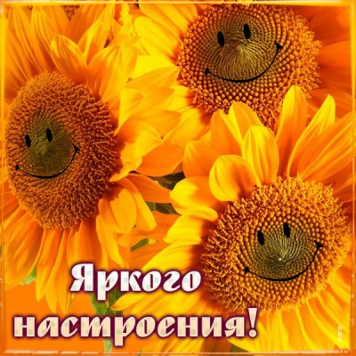 Картинка картинка яркого настроения