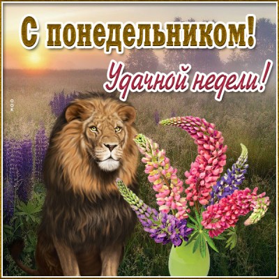 Картинка картинка яркого понедельника