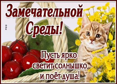Открытка картинка замечательной среды