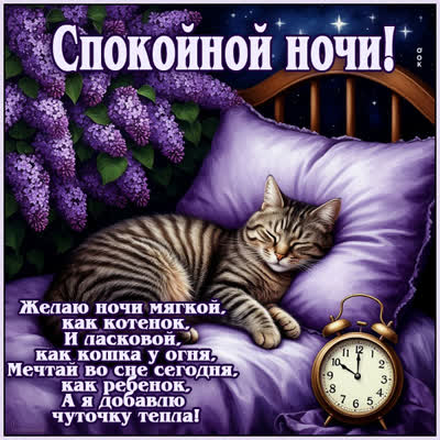 Picture картинка желаю ночи мягкой, как котенок