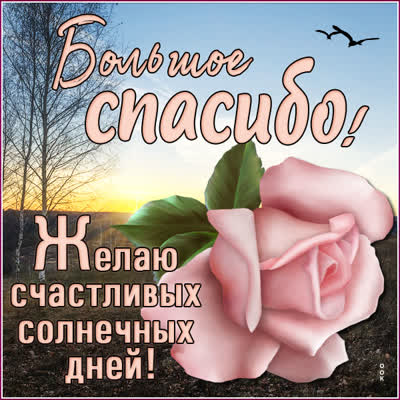 Postcard картинка желаю счастливых солнечных дней