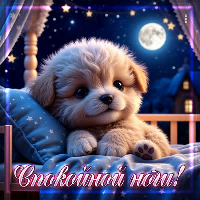 Picture картинка желаю волшебных сновидений