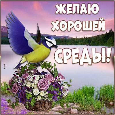 Картинка картинка желаю хорошей среды