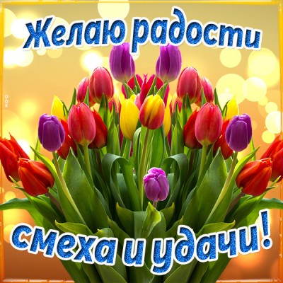 Картинка картинка желаю радости смеха и удачи