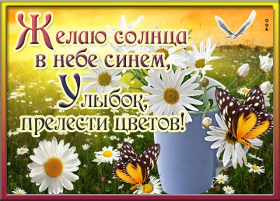 Открытка картинка желаю солнца в небе синем, улыбок, прелести цветов!
