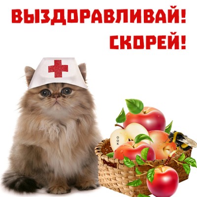 Картинка картинка желаю тебе по быстрее поправится
