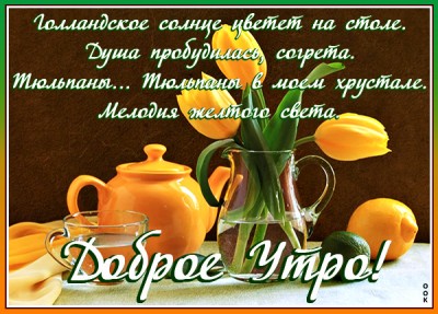 Картинка картинка желтые тюльпаны