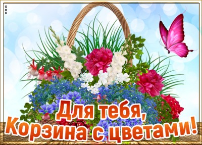 Открытка картинка женщине цветы