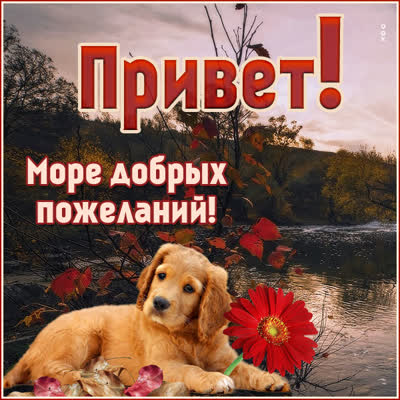 Postcard картинска привет море добрых пожеланий