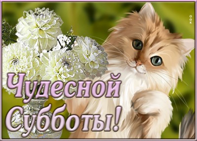 Открытка хорошая картинка чудесной субботы