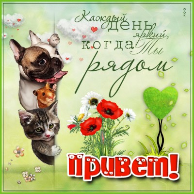 Открытка хорошая картинка привет