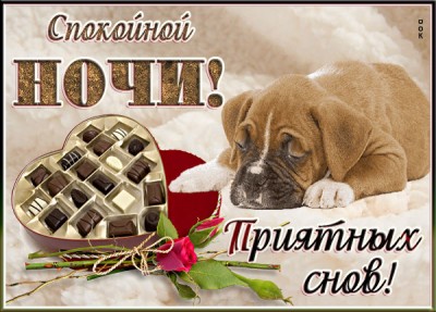 Картинка хорошая картинка приятных снов с песиком