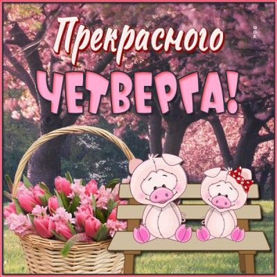 Картинка хорошая открытка с четвергом