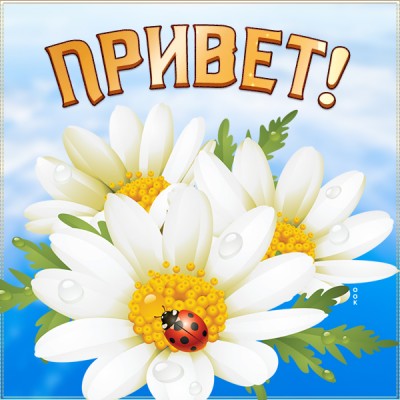 Картинка классная картинка привет