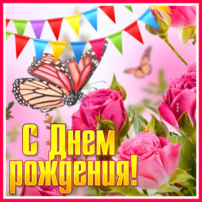Postcard классная картинка с днем рождения