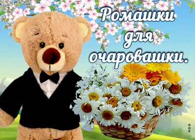 Картинка классная картинка с ромашками