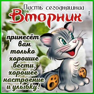 Картинка классная картинка с вторником