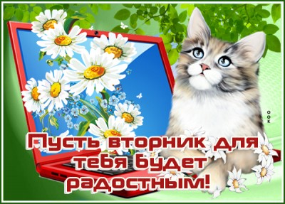 Картинка классная картинка с вторником