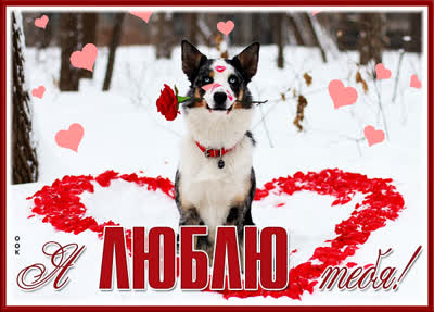 Postcard классная картинка я люблю тебя