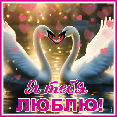 Postcard классная картинка я тебя люблю
