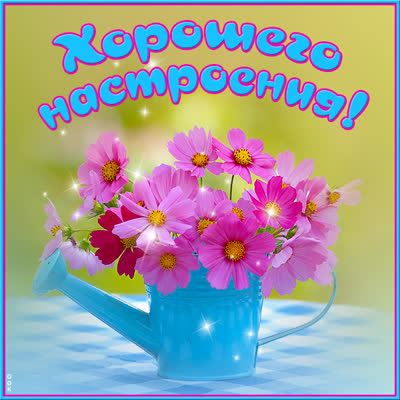 Postcard классная открытка прекрасного настроения