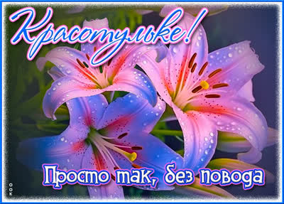 Picture классная открытка просто так без повода
