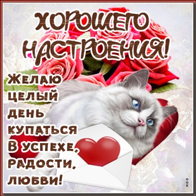 Открытка красивая картинка хорошего настроения на весь день