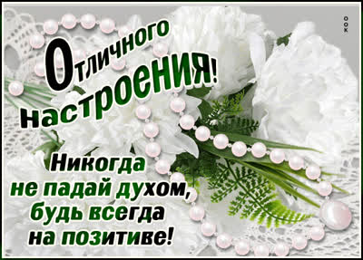 Postcard красивая картинка  отличного  настроения !