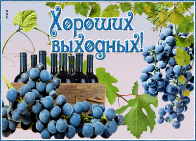Picture красивая картинка прекрасных выходных с вином