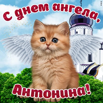 Картинка красивая картинка с днём ангела антонине