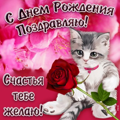 Открытка красивая картинка с днём рождения с котиком