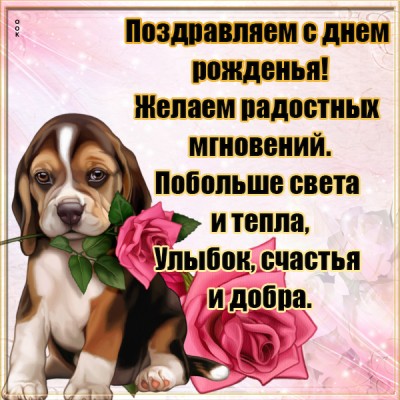 Открытка красивая картинка с днем рождения с пожеланиями