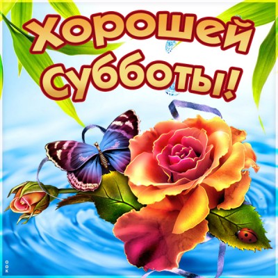 Картинка красивая картинка с субботой