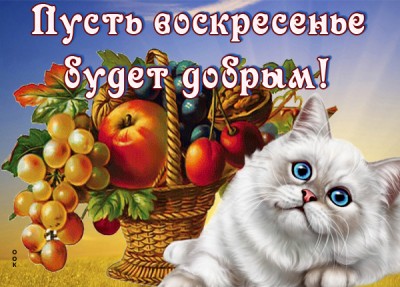 Картинка красивая картинка с воскресеньем