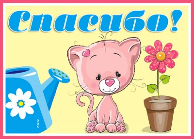 Открытка красивая картинка спасибо с котиком